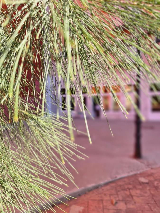 Apartamento Lounge Garden Sea Mint Fresh Valencia Exterior foto