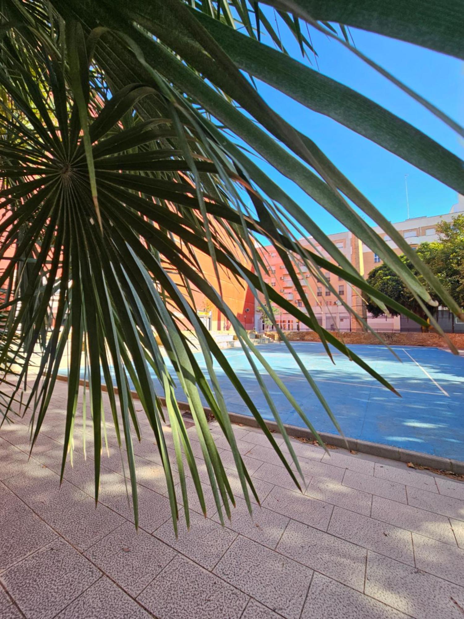 Apartamento Lounge Garden Sea Mint Fresh Valencia Exterior foto